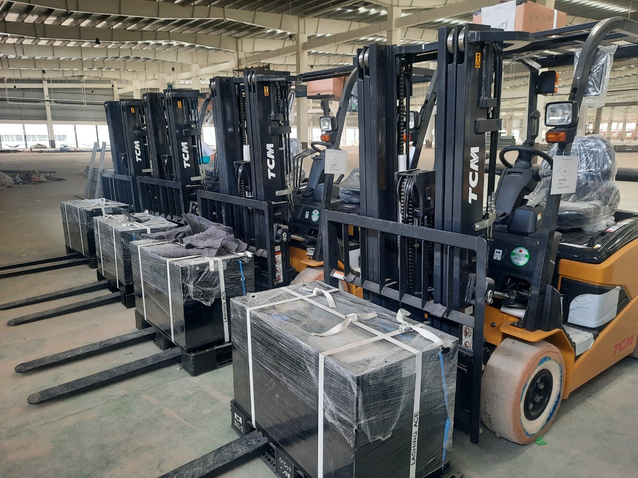 các loại xe nâng điện (4)